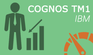 Cognos TM1 Online Training