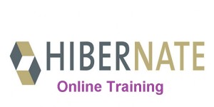 Hibernate Online Training