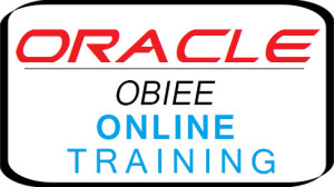 OBIEE Developer Online Training