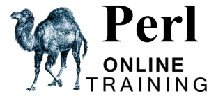 PERL Online Training