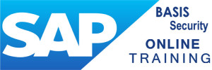 SAP BASIS Security Online Training