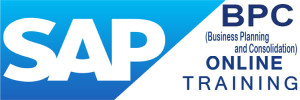 SAP BPC Online Training