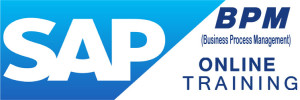 SAP BPM Online Training