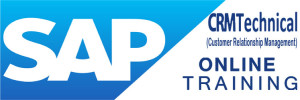 SAP CRM Technical Online Training 