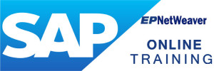 SAP EP NET WEAVER Online Training 