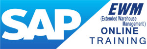 SAP EWM Online Training