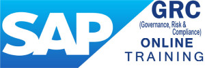 SAP GRC 10.0 Online Training