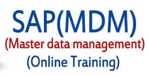 SAP MDM Online Training