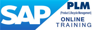 SAP PLM Online Training