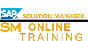 SAP SM Online Training