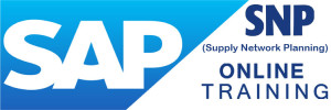 SAP SNP Online Training