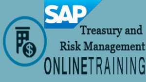 SAP Treasury & Risk Management Online Training 