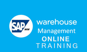 SAP WM Online Training