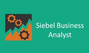 SIEBEL Analytics Online Training