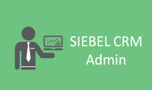 SIEBEL CRM Development and Administration Online Training