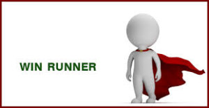 Win Runner Online Training